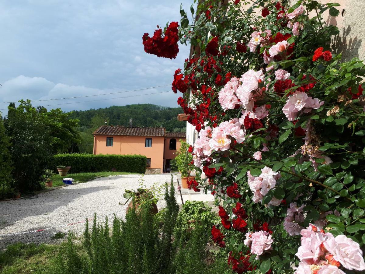 Willa Casa "Il Brio" Pistoia Zewnętrze zdjęcie